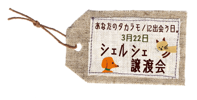 シェルシェ譲渡会バナー