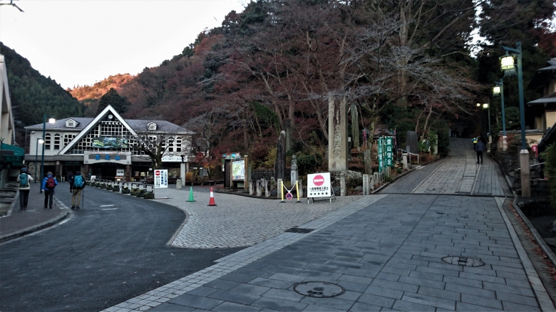 DSC_7999.jpg