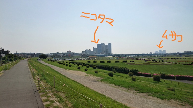 DSC_9409.jpg