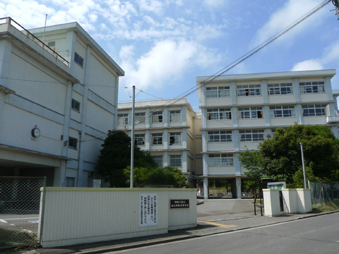 01.JPG