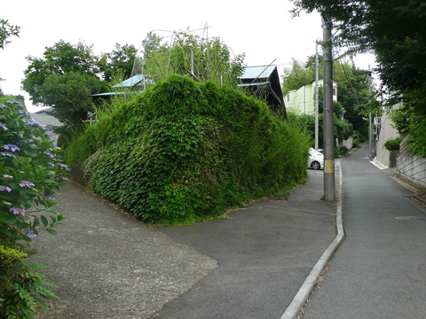 01.JPG