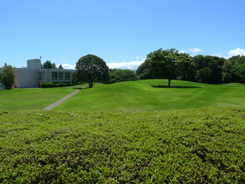 05.JPG