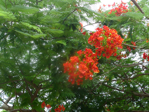 P1090969.JPG