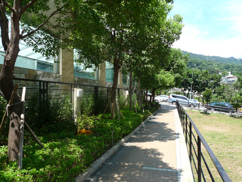 P1100032.JPG