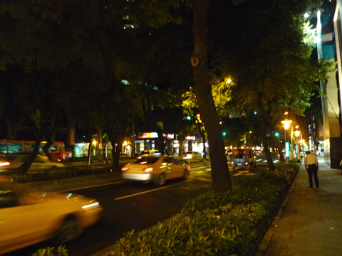 P1090629.JPG