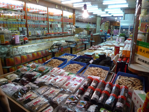 P1100064.JPG