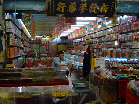 P1100065.JPG