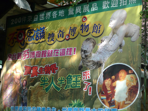 P1100145.JPG