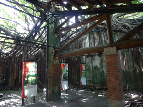 P1100341.JPG