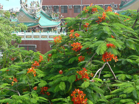 P1100385.JPG