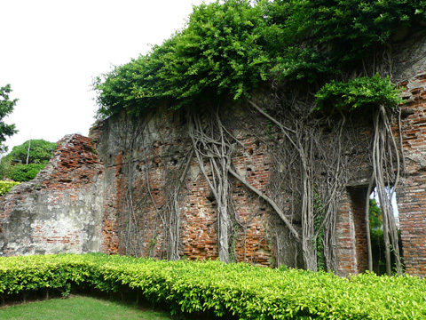 P1100391.JPG