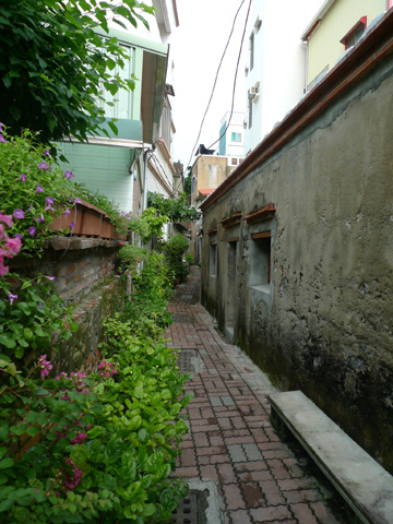 P1100399.JPG