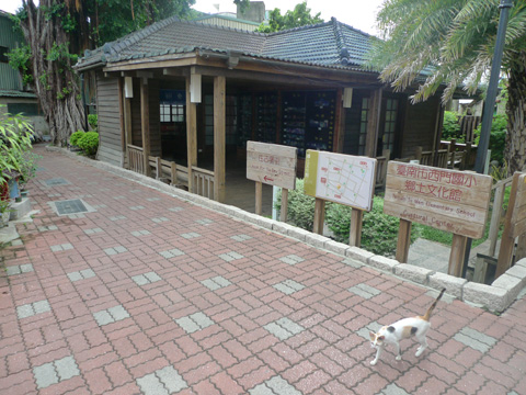 P1100406.JPG