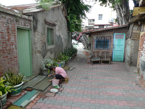 P1100426.JPG