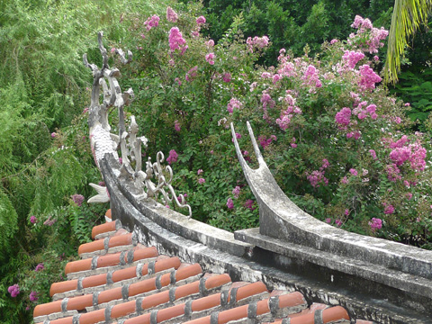 P1100435.JPG