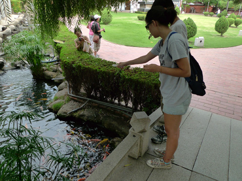 P1100439.JPG