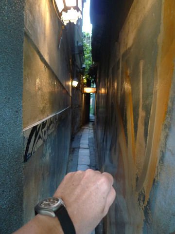 P1100484.JPG