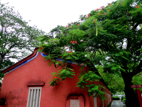 P1100494.JPG