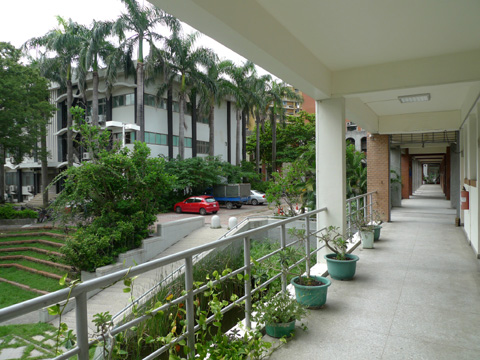P1100605.JPG
