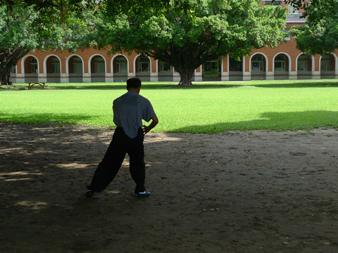 P1100629.JPG
