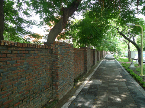 P1100635.JPG