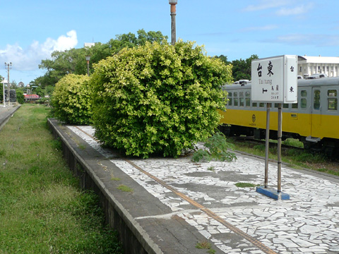P1100798.JPG