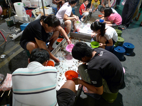 P1100865.JPG