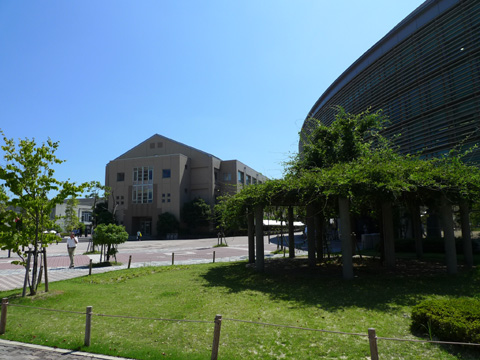 P1130873.JPG