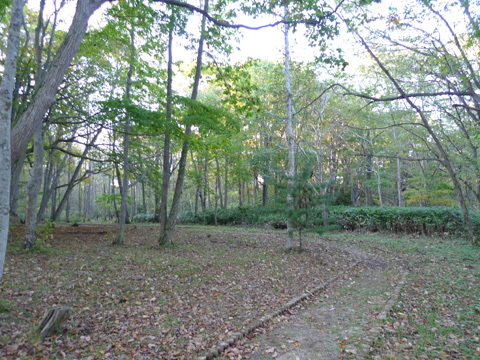 P1150076.JPG