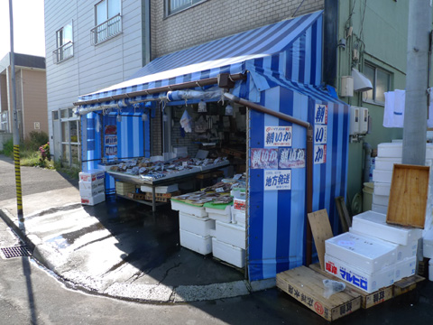 P1150194.JPG