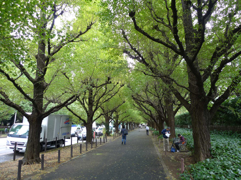 P1150326.JPG