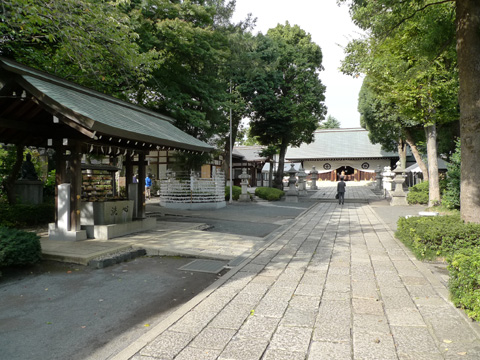 P1150417.JPG