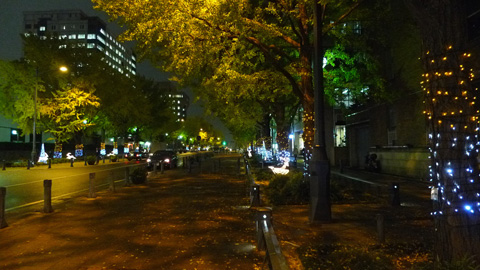 P1150608.JPG