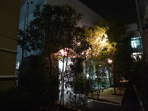 P1150671.JPG