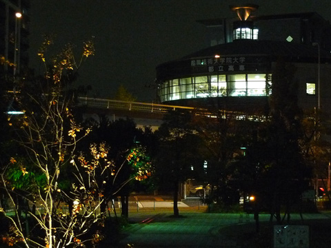P1150707.JPG