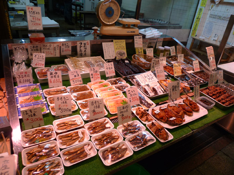 P1160704.JPG