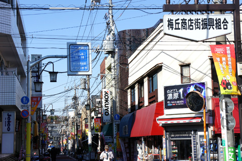 DSC00139.JPG