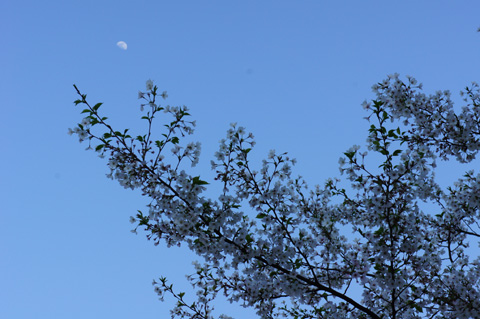 DSC00243.JPG
