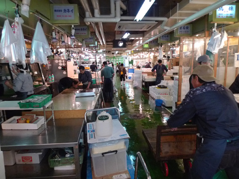 P1180083.JPG