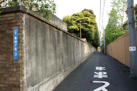 DSC00479.JPG