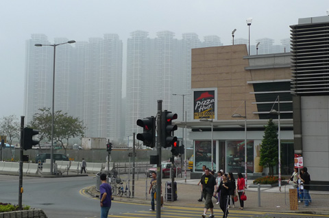 P1180319.JPG
