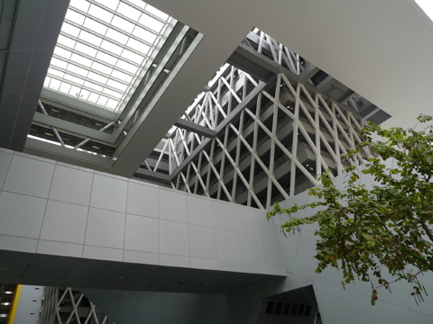 P1180492.JPG