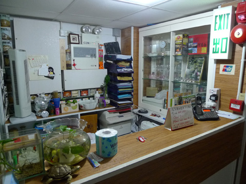 P1190235.JPG