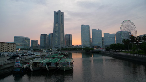 P1190734.JPG