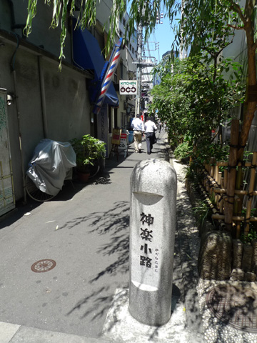 P1200085.JPG