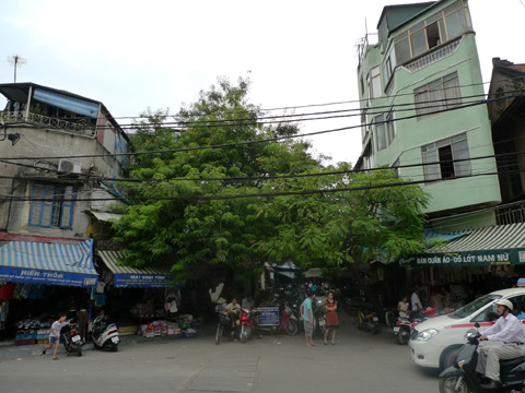 P1200589.JPG