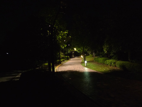P1210628.JPG