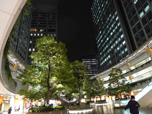 P1220852.JPG