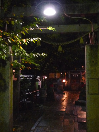 P1220971.JPG