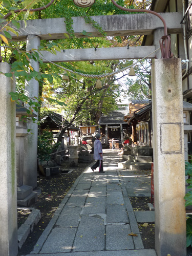 P1230010.JPG